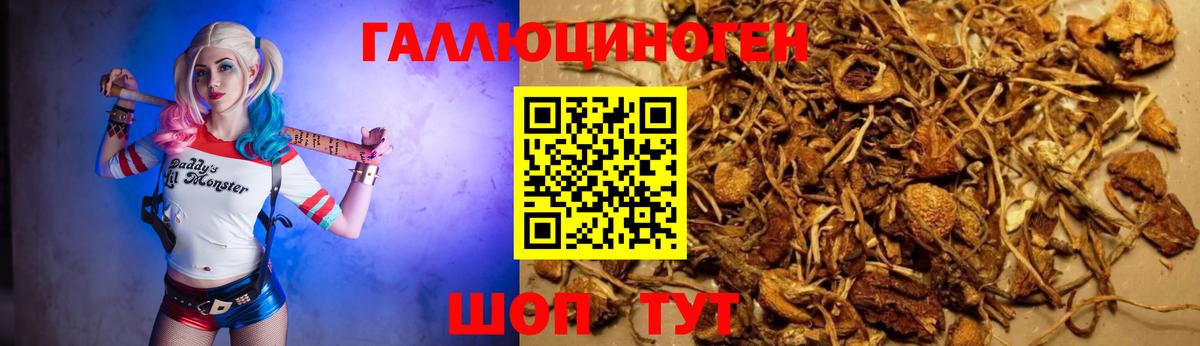 Галлюциногенные грибы Psilocybine cubensis  Галлюциногенные грибы GOLDEN TEACHER  Вход с VPN  Советская Гавань 